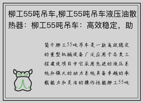 柳工55吨吊车,柳工55吨吊车液压油散热器：柳工55吨吊车：高效稳定，助力工程建设